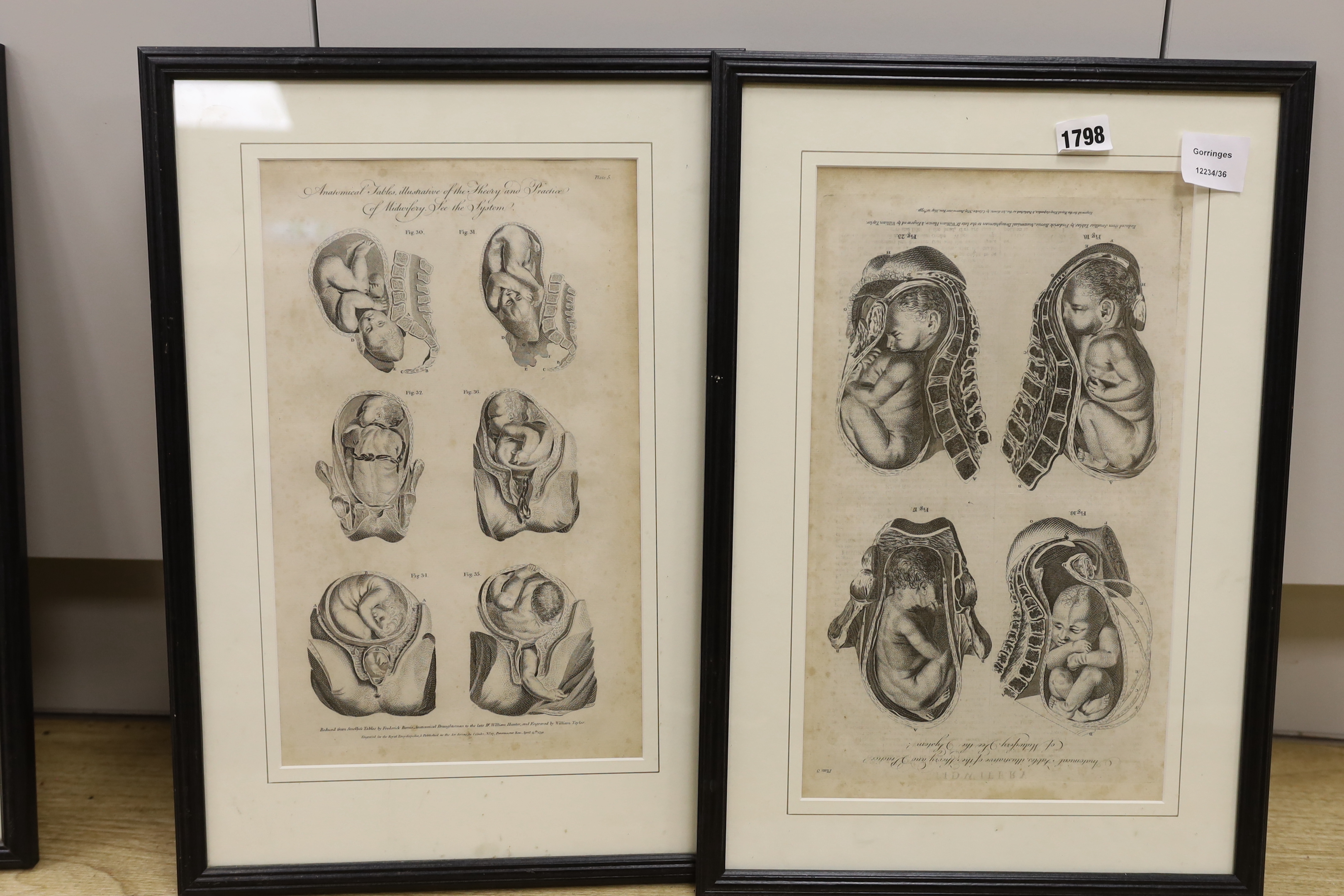 A set of eight medical and anatomical 18th century engravings, illustrating the theory and practice of midwifery, engraved for The Royal Encyclopedia and published as the Act Directs by C. Cooke, each 36 x 22cm
